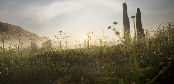 Capture d'écran de plantes et de mycètes